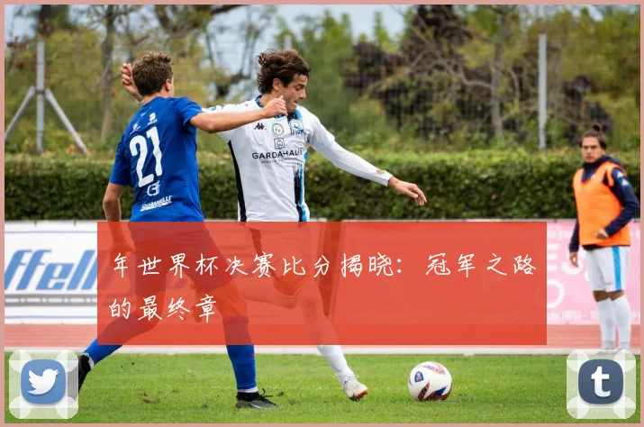 年世界杯决赛比分揭晓:冠军之路的最终章
