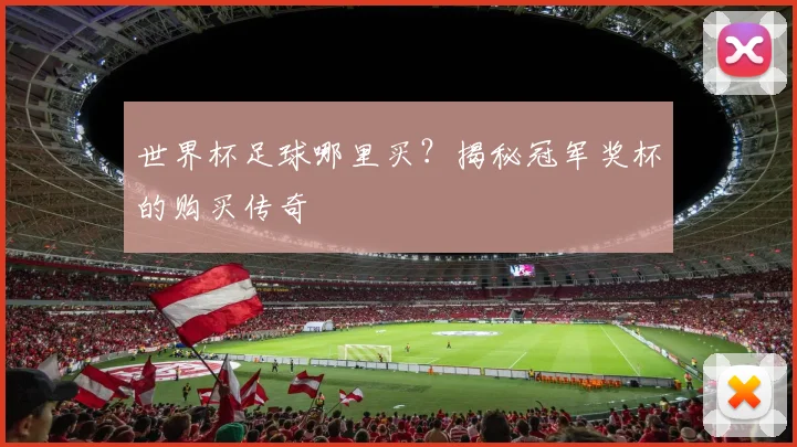世界杯足球哪里买？揭秘冠军奖杯的购买传奇