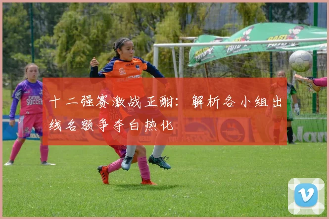 十二强赛激战正酣：解析各小组出线名额争夺白热化