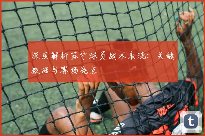 深度解析苏宁球员战术表现：关键数据与赛场亮点