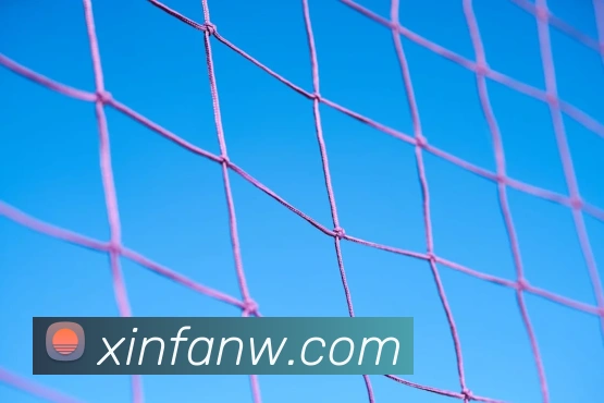 三亿体育平台生态图