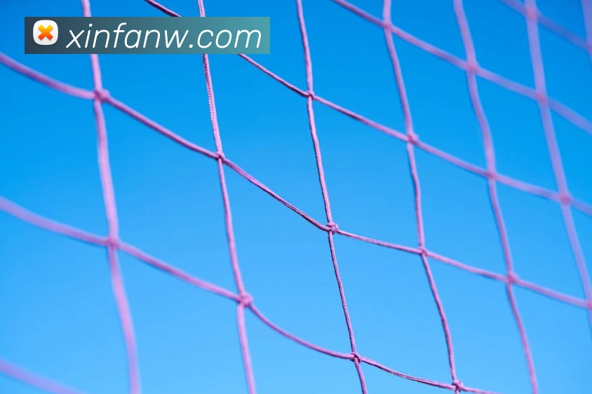 三亿体育APP 封面图